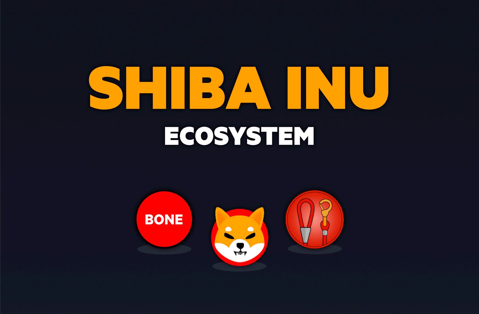 Shib-shiba-inu-token-criptomoeda-doge-dogecoin-killer-meme-moeda-ryoshi