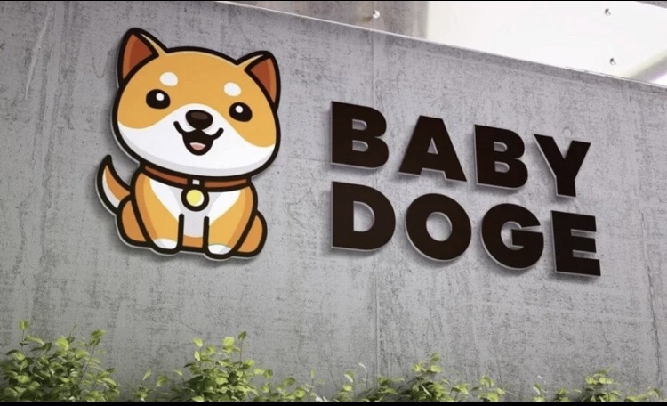 Baby-Baby-doge-babyBaby-doge-babydoge-Baby-doge-babydoge-memeBaby-doge-babydoge-meme-Baby-doge-babydoge-meme-token-Baby-doge-babydoge-meme-token-moedamoeda-dogecoin