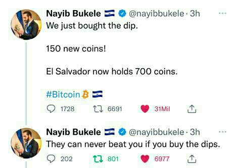 El-El-salvador-presidente-presidente--presidente-nay-presidente-nayi-presidente-nayib-presidente-nayib--presidente-nayib-bukele--presidente-nayib-bukele-bitcoin-bitcoinsn-bitcoins-governo