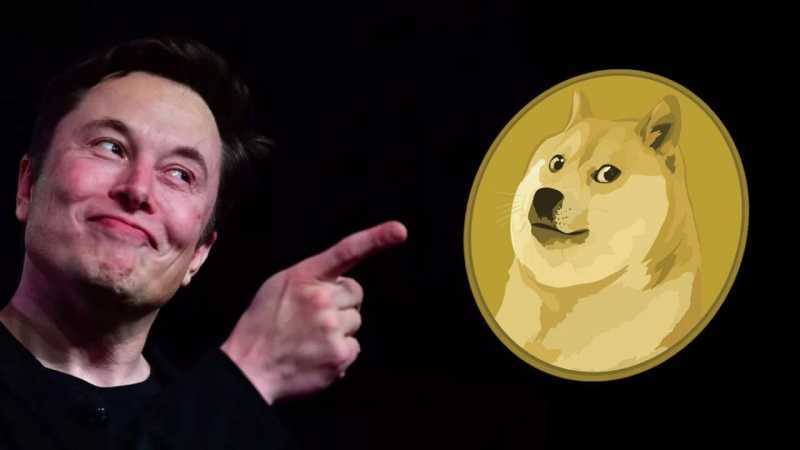 DOGE, a Memecoin de Elon Musk 