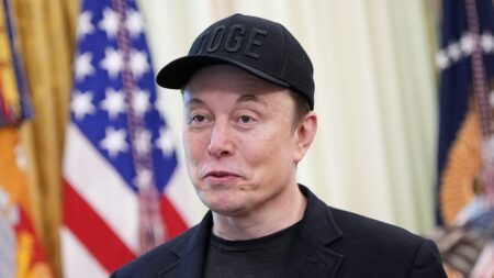 O novo partido político de Elon Musk adotará o Bitcoin - Bitcoin Angola