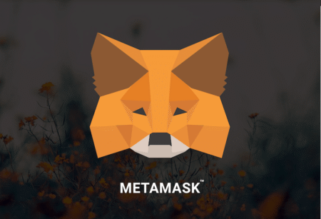 MetaMask adiciona login do Google e da Apple para simplificar o acesso à carteira de autocustódia- Bitcoin Angola