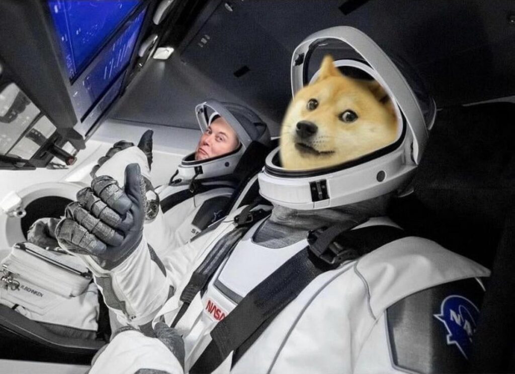 Elon Musk se prepara para lançar o DOGE rumo à Lua Elon Musk se prepara para lançar o DOGE rumo à Lua