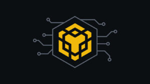 BNB Chain lidera o ranking de blockchains com 58 milhões de endereços ativos mensais.